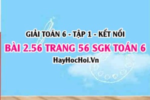 Giải bài 2.56 trang 56 Toán 6 Tập 1 SGK Kết nối tri thức